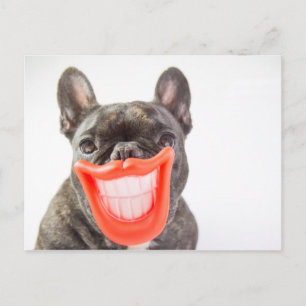 Carte Postale Images Getty Un chien souriant