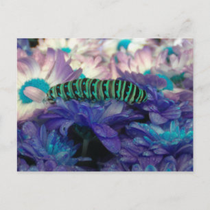 Carte postale Imaginaire Caterpillar