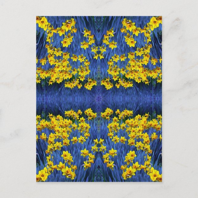 Carte Postale Imaginaire Daffodil Spring (Devant)