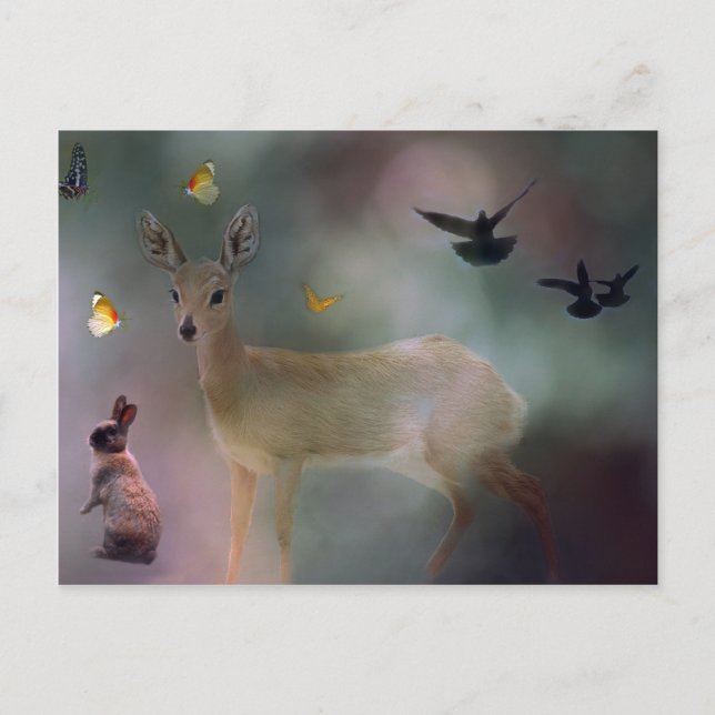 Carte Postale Imaginaire forestier des animaux bébés (Devant)