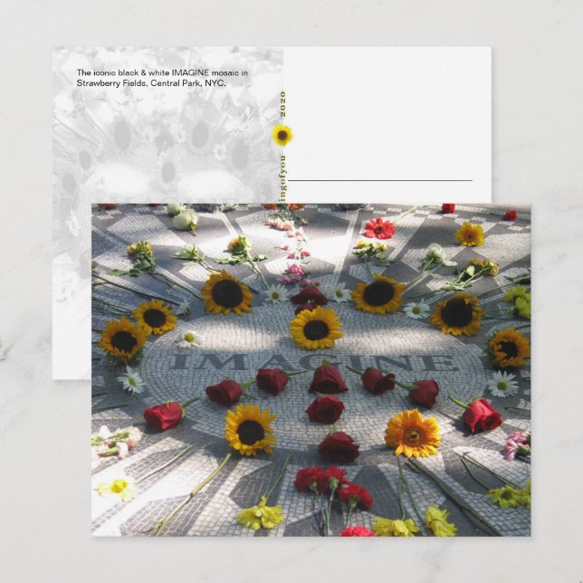 Carte Postale IMAGINE mosaïque, champs de fraises, NY - H (Devant / Derrière)