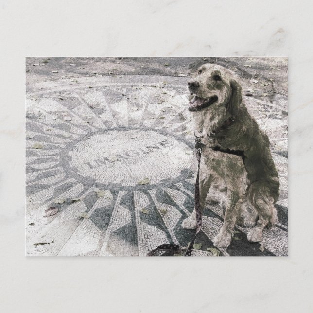 Carte Postale "Imagine" ou "Golden in Strawberry Fields" (Devant)