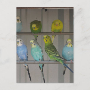 CARTE POSTALE IMG_0348