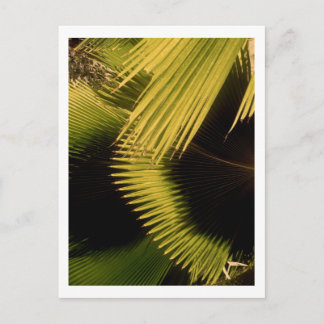 CARTE POSTALE IMG_0453