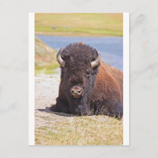 CARTE POSTALE IMG_1227_1