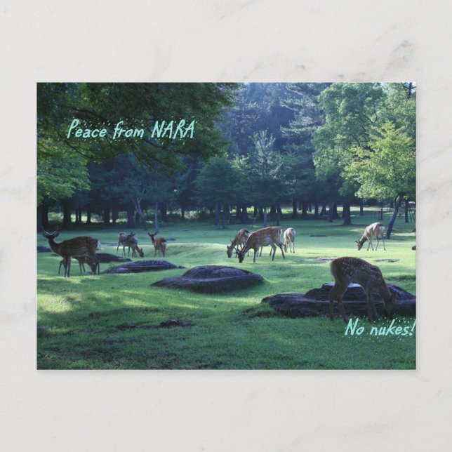 CARTE POSTALE IMG_1664 NARA (Devant)