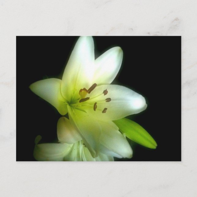 CARTE POSTALE IMG_1980 (Devant)