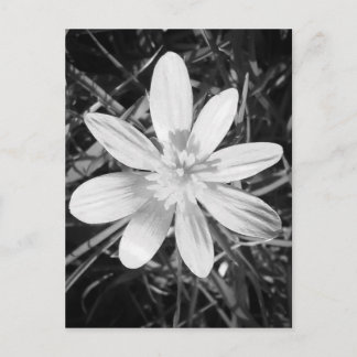 Carte Postale IMG_20150324_210135.jpg