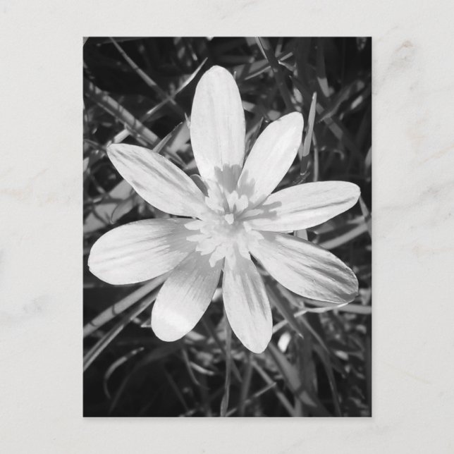 Carte Postale IMG_20150324_210135.jpg (Devant)