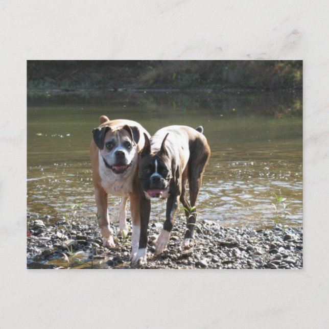 CARTE POSTALE IMG_3178 (Devant)