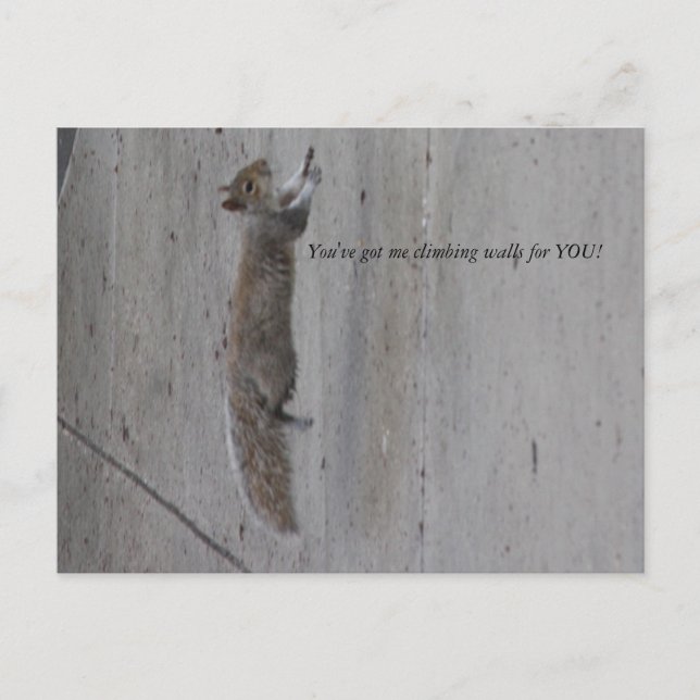 Carte Postale IMG_3995, Vous m'avez des murs d'escalades pour VO (Devant)