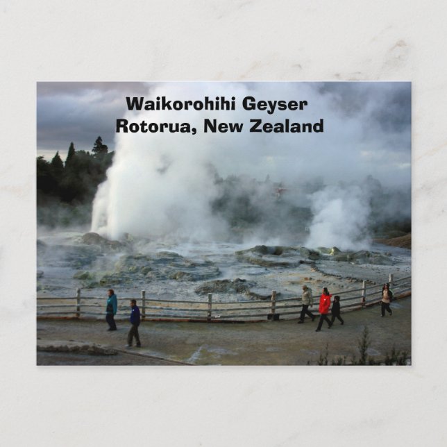 Carte Postale IMG_4274, Waikorohihi Geyser Rotorua, Nouvelle-Zél (Devant)