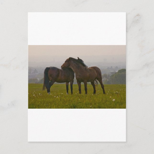 Carte Postale IMG_5764.jpg (Devant)