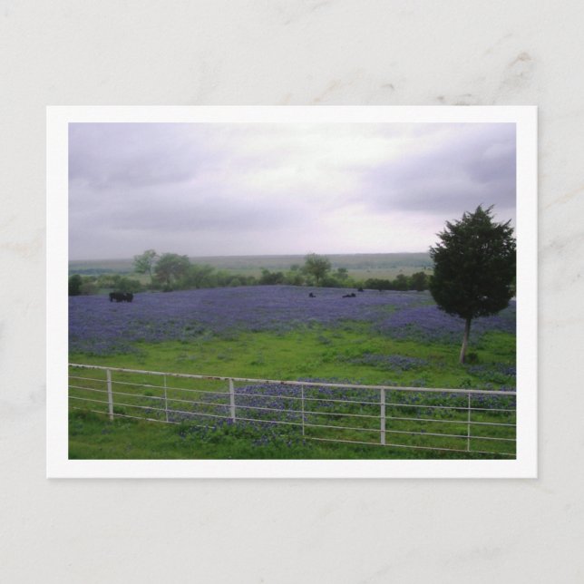 CARTE POSTALE IMGP4300 (Devant)