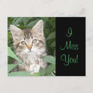 Carte Postale IMisYou ! Kitten