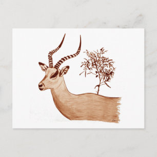 Carte Postale Impala Antelope Dessin animalier Sketch
