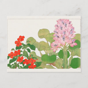 Carte Postale Impatiens, Jacinthe d'eau par Tanigami Konan