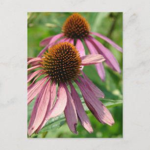 Carte Postale Imperfection