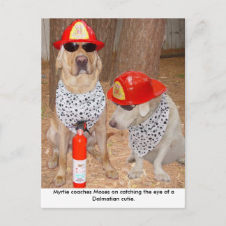 Carte Postale Imposter