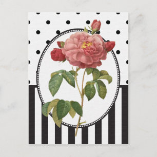 Carte Postale Impression botanique rose rose vintage
