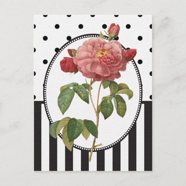 Carte Postale Impression botanique rose rose vintage (Devant)