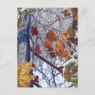Carte Postale Impression camouflage de neige hivernale