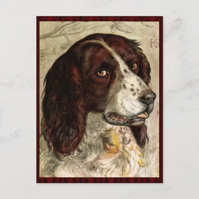 Carte Postale Impression Cocker Spanial Dog (Devant)