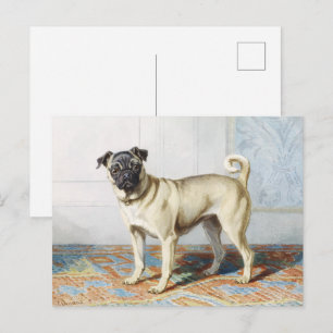 Carte Postale Impression d'art aquarelle vintage de chien pug