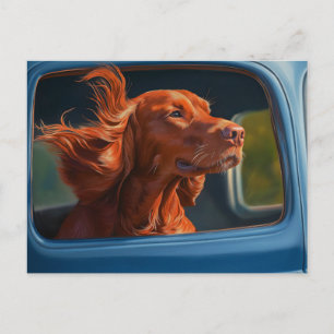 Carte Postale Impression d'art Chien Rouge Profitant d'une Prome