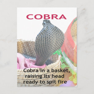 Carte Postale Impression d'art Cobra dans un panier