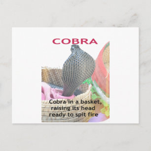 Carte Postale Impression d'art Cobra dans un panier