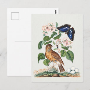 Carte Postale Impression d'art floral botanique et oiseau vintag