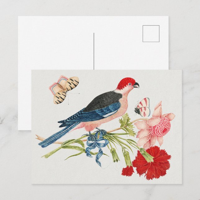 Carte Postale Impression d'art floral papillon oiseau rose vinta (Devant / Derrière)