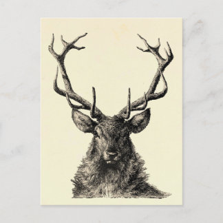 Carte Postale Impression de cerfs, impression de cerfs, Vintage,