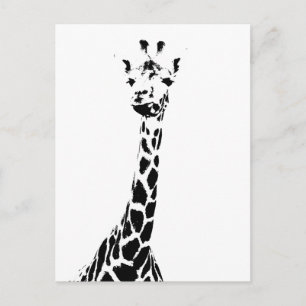 Carte Postale Impression de girafe
