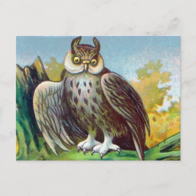 Carte Postale Impression de la chouette vintage (Devant)