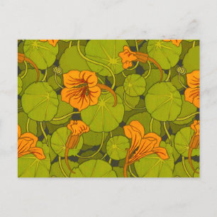 Carte Postale Impression florale du Nasturtium victorien 1896