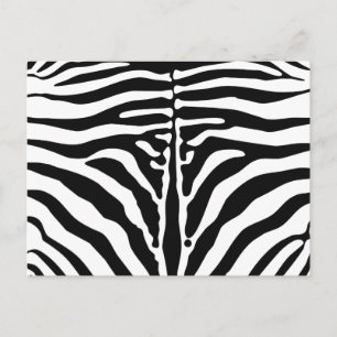 Carte Postale Impression Zebra