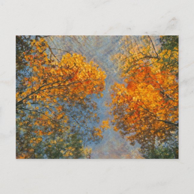 Carte Postale Impressionnisme d'automne (Devant)