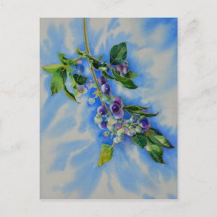Carte Postale Impressionniste Blueberry peinture