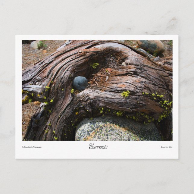 Carte Postale Imprimantes courants (Devant)