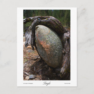 Carte Postale Imprimantes en angle