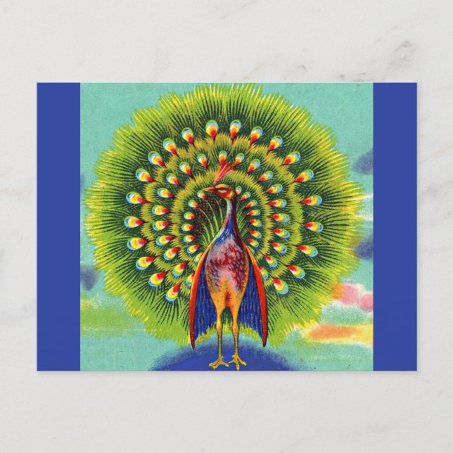 Carte Postale imprimé de paon amusant (Devant)