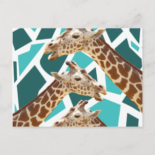 Carte Postale Imprimé girafe funky bleu sarcelle motif animal sa