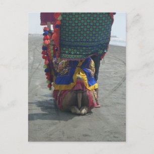 Carte Postale Imprimé/graphique en forme de chameau