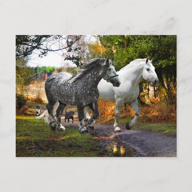 Carte postale "In From the Meadow" (Devant)