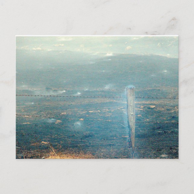 Carte Postale Incendie de forêt (Devant)