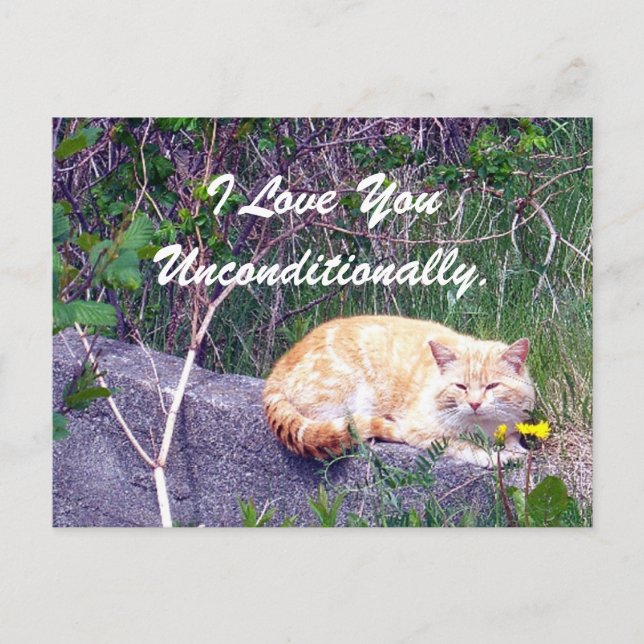 Carte postale inconditionnelle (Devant)
