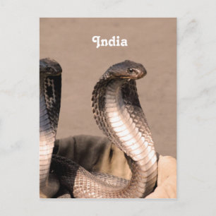 Carte Postale Inde Cobra