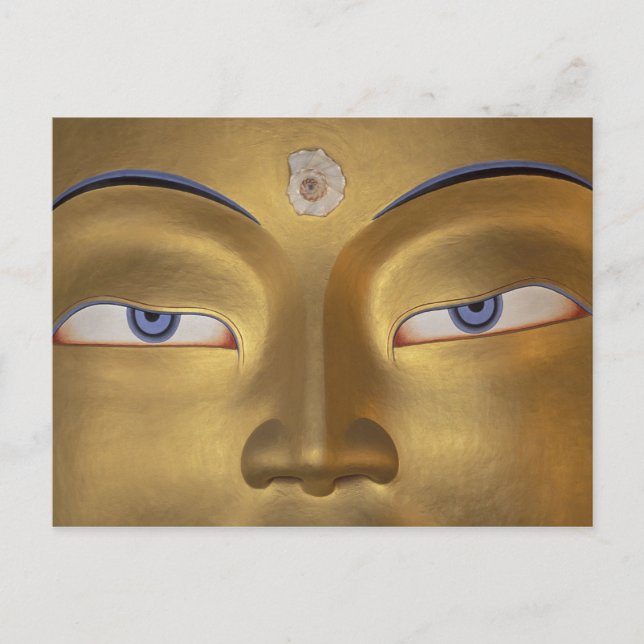 Carte Postale Inde du Nord, Ladakh, Thikse gompa (Devant)